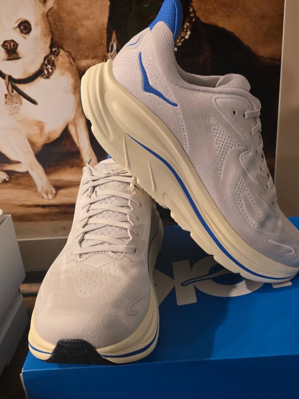 Hoka One One Clifton 10 Men's Running Stucco Virtual Blue 1162030/SCCV Sz 12 NEW